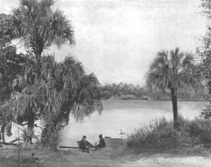 オーガリー、インディアンリバー、フロリダ、米国、c1900。 作： Unbekannt