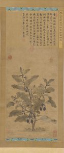茄子、明代、1368～1644年。 作： Unbekannt