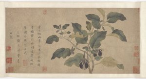 なす、元または明王朝、14世紀。 作： Unbekannt
