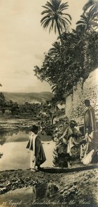 エジプト-オアシスの正午。c1918-c1939。 作： Unbekannt