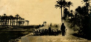 エジプト-シェパードが帰路、c1918-c1939。 作： Unbekannt