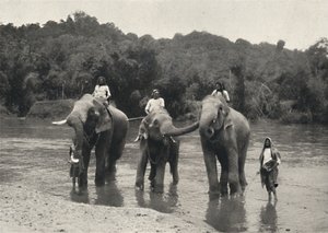 マハーアリガンガ風呂の象、1926年 作： Unbekannt