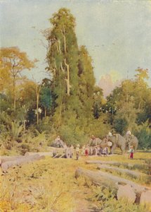 象の積み重ねチーク、1924