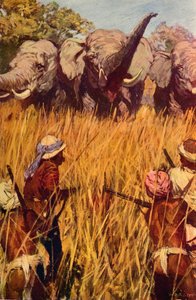 チェイスの象、c1850 c1912 作： Unbekannt