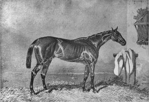 エリントン、1853-1870、1911 作： Unbekannt