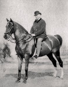 エミールドジラルダン、フランスのジャーナリスト、広報担当者、政治家、1866年 作： Unbekannt