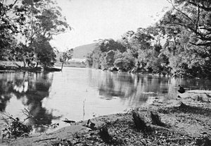 イブニングシャドウ、国立公園、c1900。 作： Unbekannt