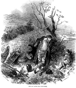 アイルランドの農民を追放、1848年