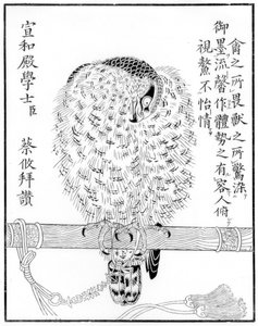 ファルコン、1886 作： Unbekannt