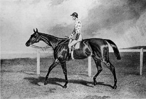 ファンダンゴ、19世紀、1911