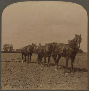 イギリスの農業-土地の悲惨さ、1909年。 作： Unbekannt