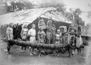 1892年にネルアのフォレストハウスに運ばれた羽毛