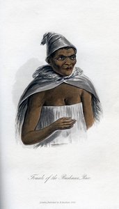 ブッシュマンレースの女性、1848年 作： Unbekannt