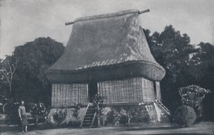 フィジーハウス、1924年 作： Unbekannt