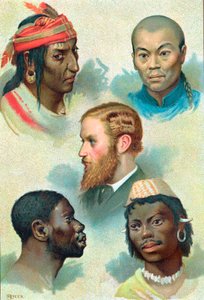 5種類の人類、19世紀後半