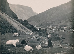 フレイム、1914年。 作： Unbekannt