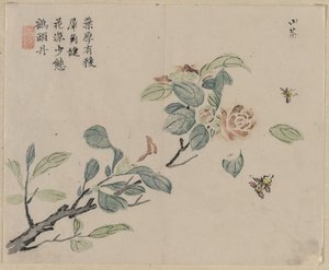 ミツバチ、18世紀の開花枝。