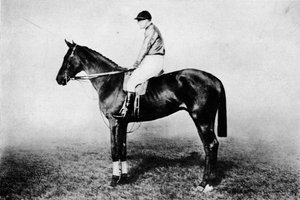 フライングフォックス、1896-1911、1911 作： Unbekannt