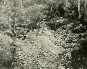 Fossickers at Work、1901。 作： Unbekannt