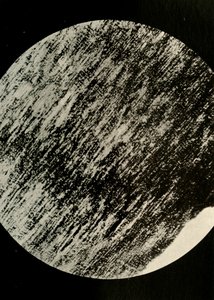 砂岩の化石木、南緯85度のモレーン、1908年、1909年。 作： Unbekannt