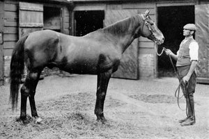フォックスホール、1880-1904、1911 作： Unbekannt