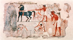 収穫の記録を描いた古代エジプトの塗られた漆喰の断片、c1400 BC