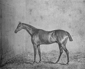フレデリック、1826-1837、1911 作： Unbekannt