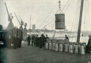 1902年にサウサンプトンに上陸したフランスの牛乳。