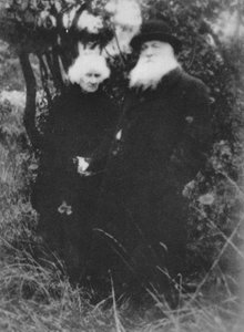 フランスの彫刻家、オーギュストロダンが1916年、ムードンにある彼の別荘の公園で1939年に撮影しました。 作： Unbekannt