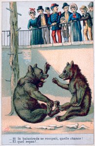 19世紀のフランスの動物学的はがき 作： Unbekannt