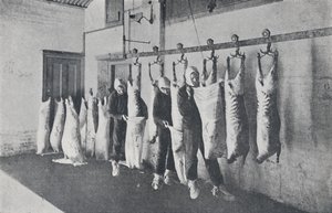 冷凍肉、1923年。