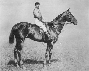 Galtee More、1894-1917、1911 作： Unbekannt