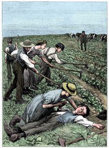 児童労働の集団制、C1885 作： Unbekannt
