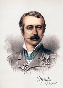 ガーネットジョセフウォルズリー、子爵ウォルズリー、アイルランド生まれのイギリス兵、c1880