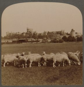 一般的なビューウィンザー城、イギリス、1896年。 作： Unbekannt