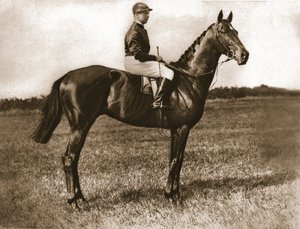 1911年、サンスターのジョルジュ・スターン。