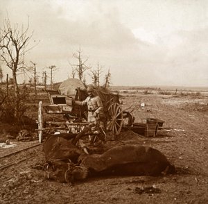 ドイツの馬車、北フランス、タフル、c1914-c1918 作： Unbekannt