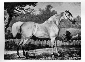 ギムクラック、1760〜1777、1911 作： Unbekannt