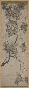 ブドウ、1700年代。 作： Unbekannt