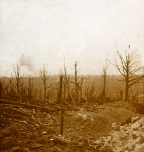 墓と砲撃、フルーリ、フランス、c1914-c1918