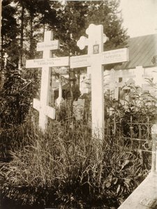 ノヴォデヴィチ女子修道院、モスクワ、ロシア、1929年の墓地の墓