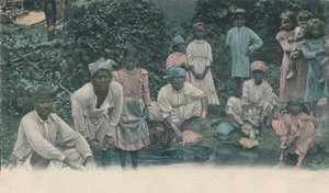 ジャマイカからのご挨拶。クーリーの洗浄、1905年。 作： Unbekannt