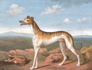 グレイハウンド: 左を向いており、足元に死んだノウサギがいます。 1805年。 作： Unbekannt