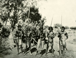 アボリジニの男性のグループ、オーストラリア、クイーンズランド州、1901年。
