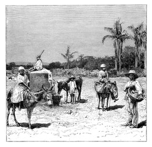 ハイチ人のグループ、c1890 作： Unbekannt