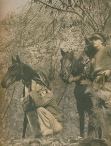 再びマウントに満足、1943-44 作： Unbekannt