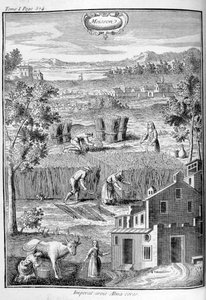 収穫、1775