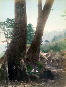 箱根道路、20世紀初頭の秦 作： Unbekannt