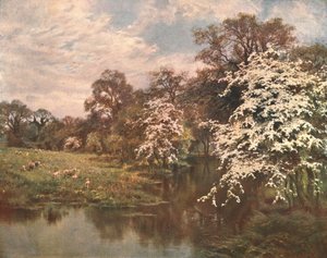 サンザシの花、c1899、c1902。