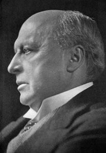 アメリカ生まれの作家で文学評論家のヘンリージェームズ、1913年